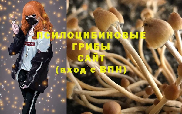 стафф Волоколамск