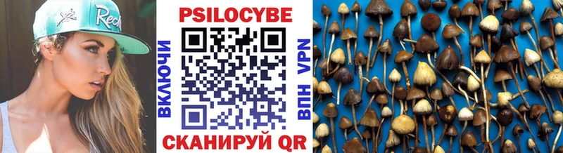 продажа наркотиков  KRAKEN сайт  shop формула  Карасук  Псилоцибиновые грибы Psilocybine cubensis 
